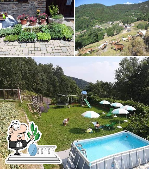 Guarda gli esterni di Agriturismo Fiorendo