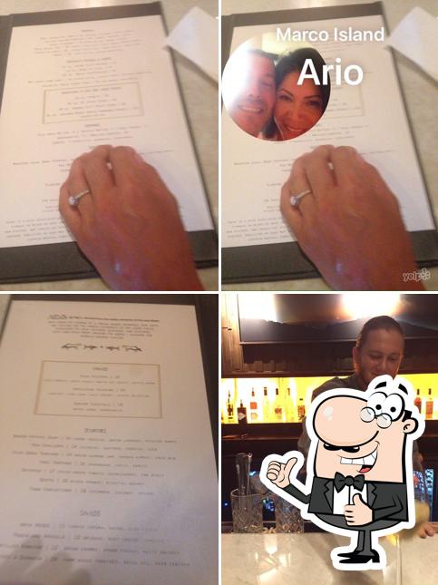 Ario in Marco Island Restaurant menu and reviews