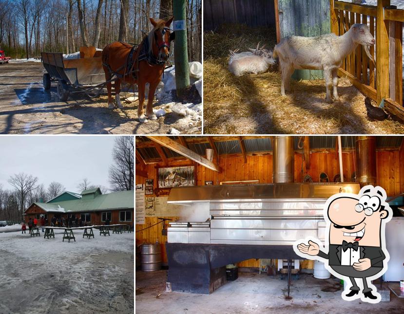 Cabane à Sucre Chabot Enr