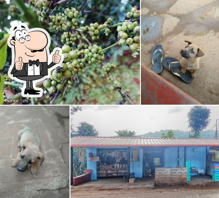 Savitha Canteen