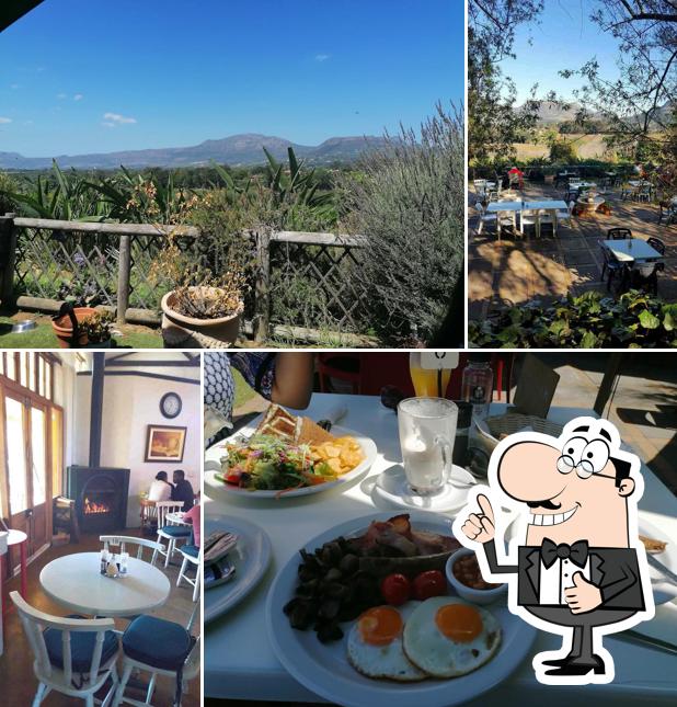 Chart Farm Coffee Shop café, Le Cap - Menu du restaurant et commentaires