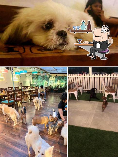 Take a seat at one of the tables at Ohh My Dog Pefe