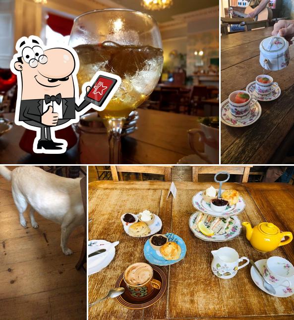 Dolly's Tea Room and Wine Bar in Falmouth Restaurant reviews