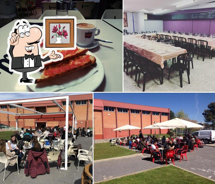 Cafeteria del Polideportivo de la UAM in Madrid - Restaurant reviews