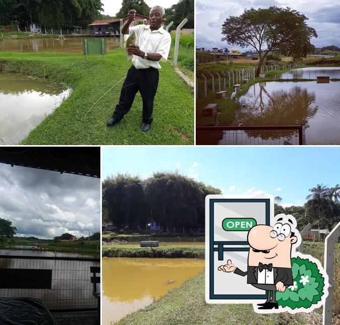 Pesqueiro do Trevo