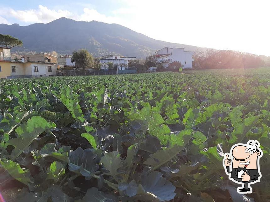 Ecco una foto di A Cantenell Ro Caricchiell pizzeria