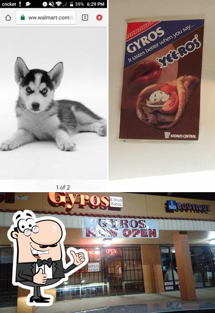 Gyros & Shish Kabob Restaurant in Houston Restaurant menu and reviews