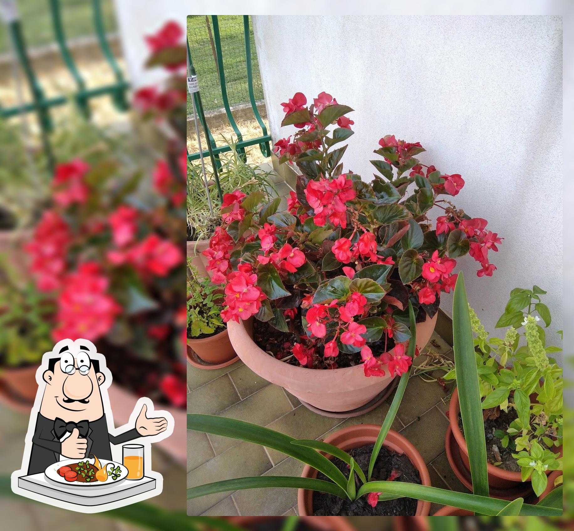 Mensa comunale / Mense comunâl