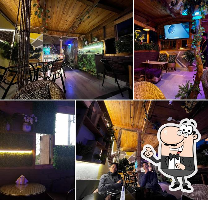 Check out how The Verde looks inside