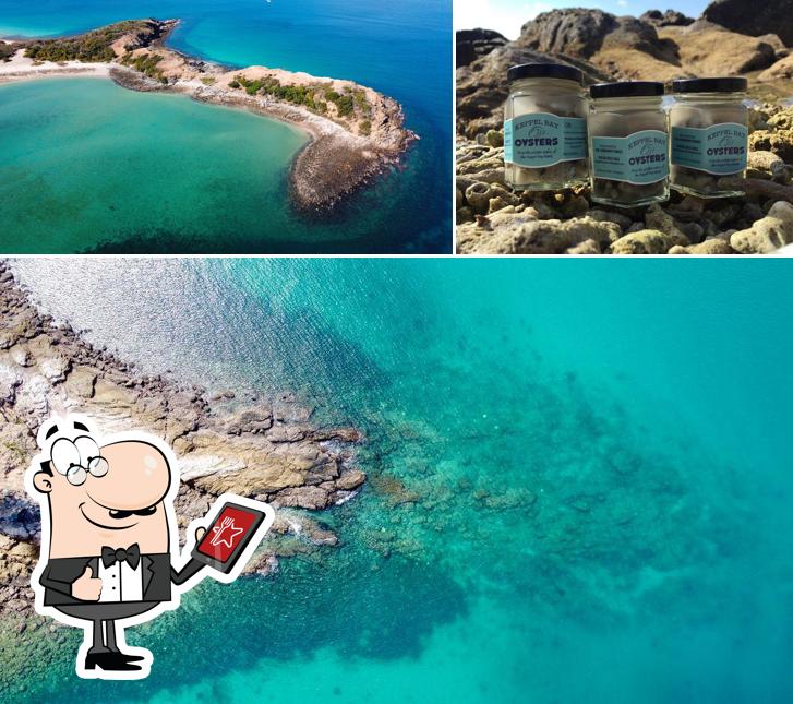 Great Keppel Island Hideaway in The Keppels Restaurant menu and reviews