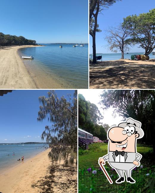 Curlew Cafe, Coochiemudlo in Coochiemudlo Island Restaurant reviews