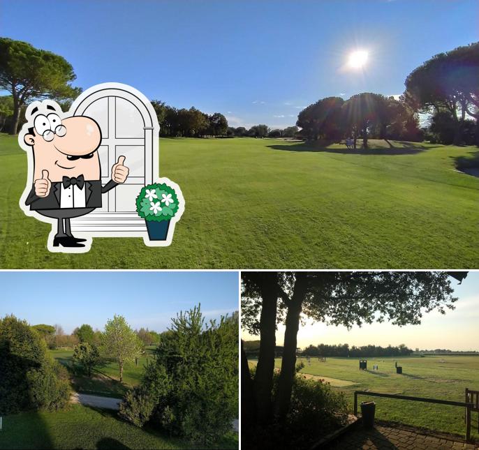 Curiosa tra gli esterni di Golf Club Lignano