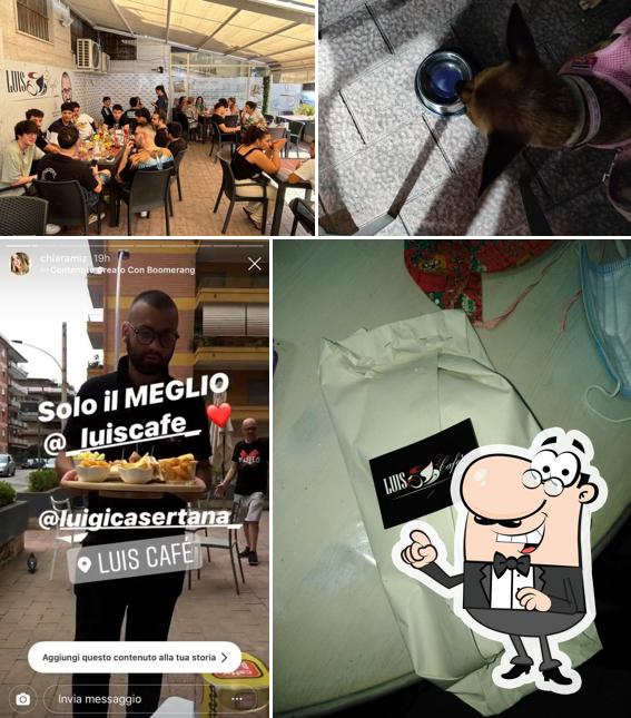 Gli interni di Luis Café