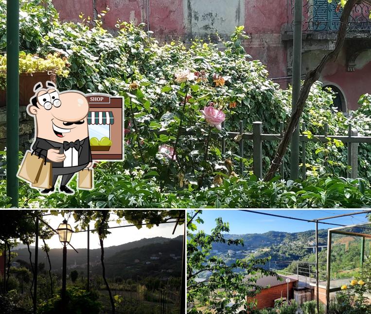 Guarda gli esterni di Trattoria Pagliettini