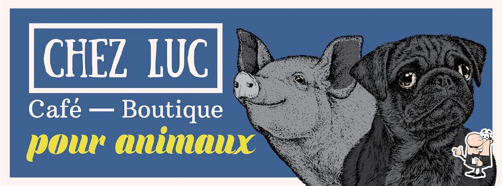 Regarder cette photo de Chez Luc - Boutique et café pour animaux