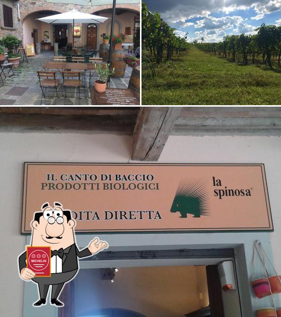 Vedi questa immagine di La Spinosa - Wine tasting - Enoteca Il Canto Di Baccio