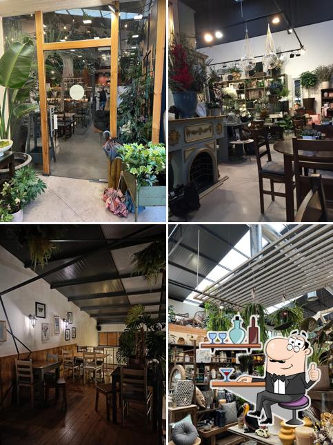 Cafetaria Terrárea