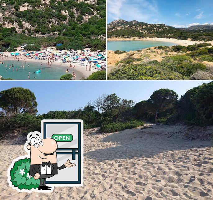 Servizi turistici. Noleggio lettini e ombrelloni. Rent sun beds and beach umbrellas.