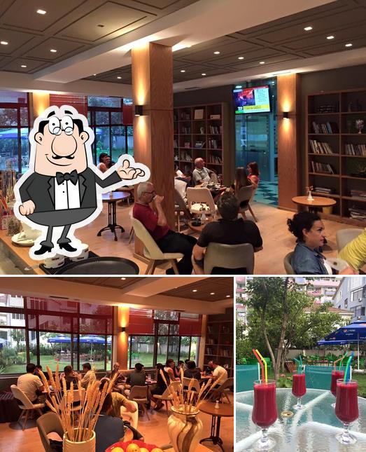 Alfa Garden Bar, Tirana