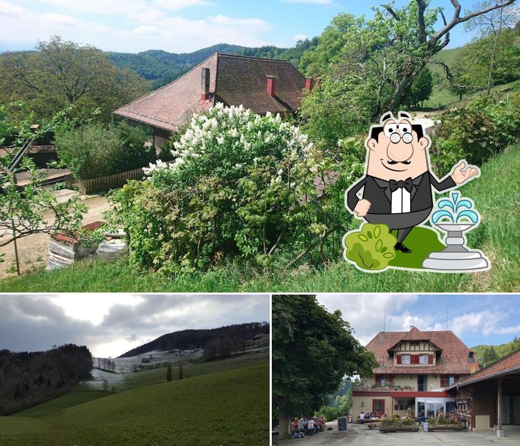 Guarda gli esterni di Schäferstube Allerheiligenberg