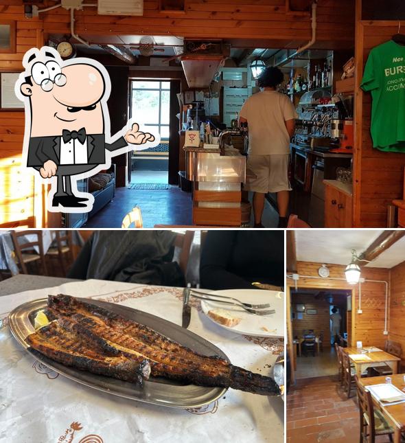 Gli interni di Trattoria Primaro
