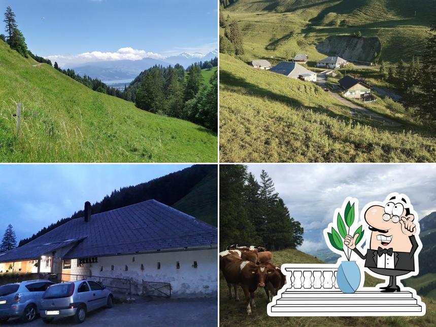 Alpbeizli Langenegg