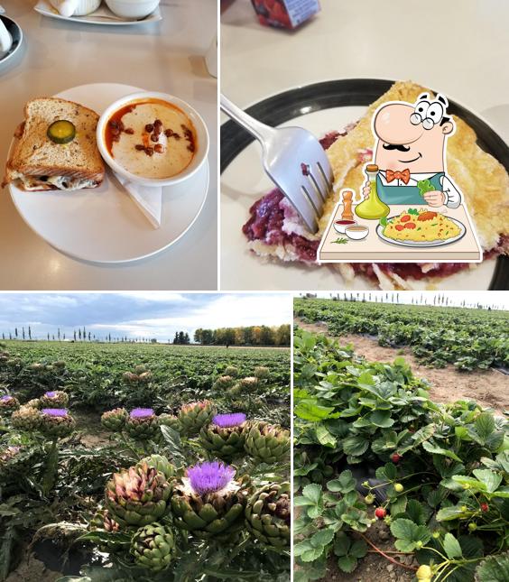 Broxburn Vegetables & Cafe