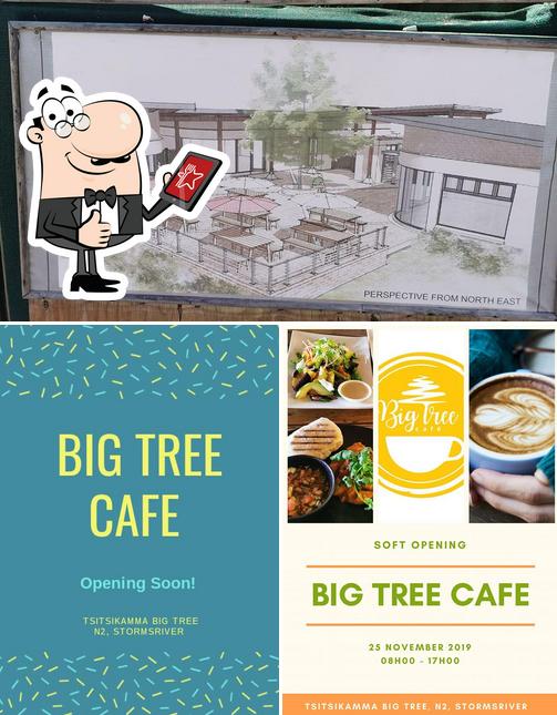 Vea esta imagen de Big tree cafe