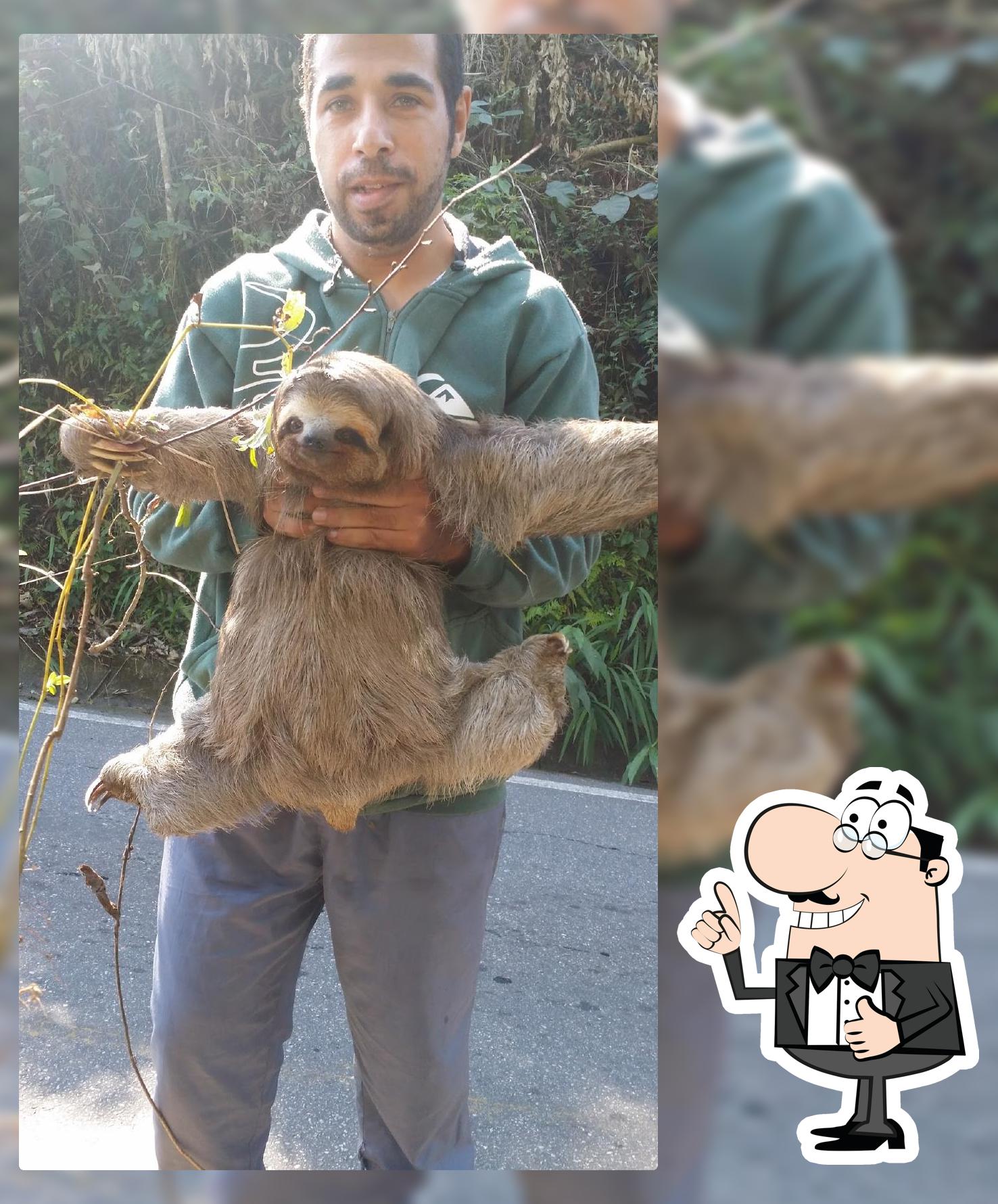 Sitio da PREGUIÇA