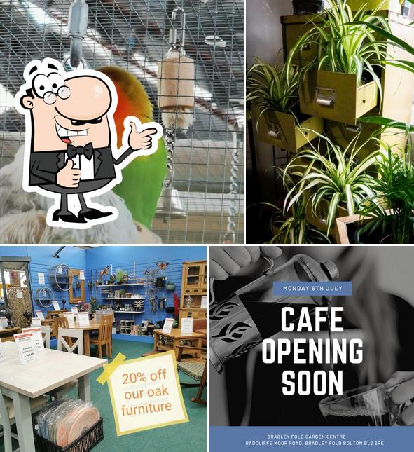 Café Bradley Fold Garden Centre, Bolton Opiniones del restaurante