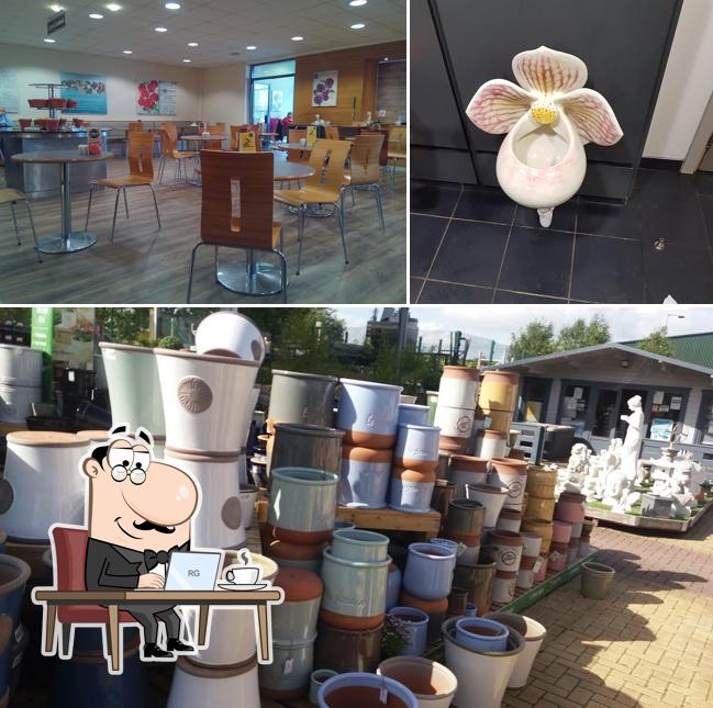 Dobbies Garden Centre Shepton Mallet in Shepton Mallet Restaurant reviews