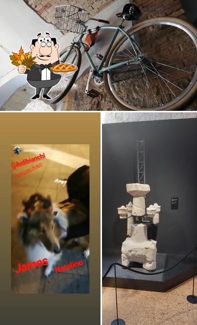 Vedi la immagine di Forma