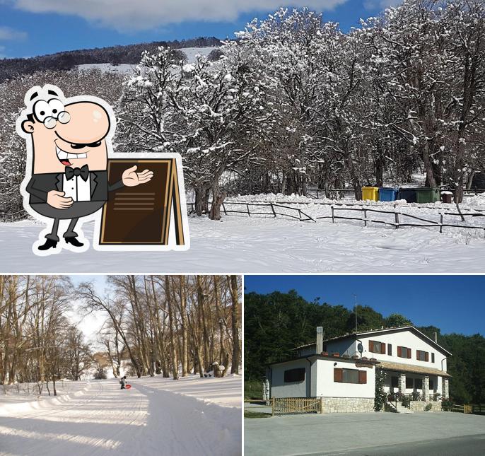 Goditi la vista dagli esterni di Il Faggeto