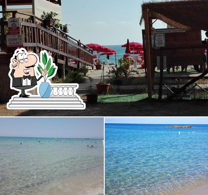 Curiosa tra l'area esterna di Lido Baia Saracena