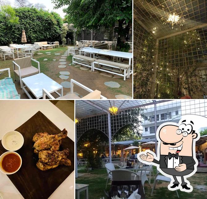Cafe Soul Garden, Gurugram, Block C2 Restaurant menu and reviews