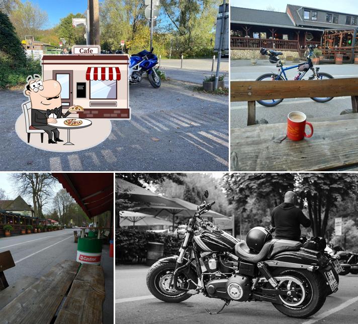 Profitez de la vue de l'espace ouvert de Bikertreff Grafenmühle