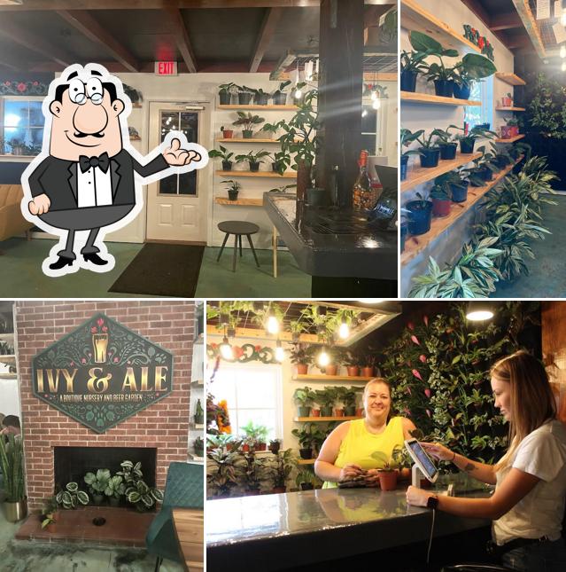 Ivy and Ale in Fort Walton Beach Restaurant reviews