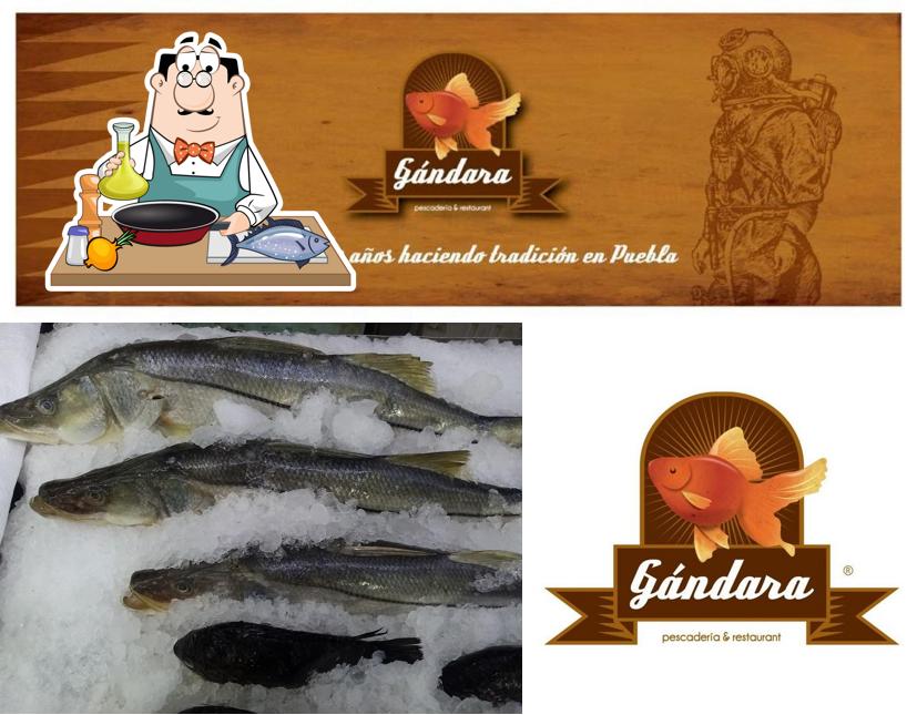 Plaza del Mar Gandara provides a menu for fish dish lovers