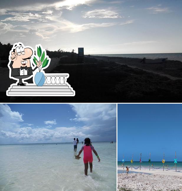 Mantarraya Beach Club & Hammocks, Holbox Restaurant reviews