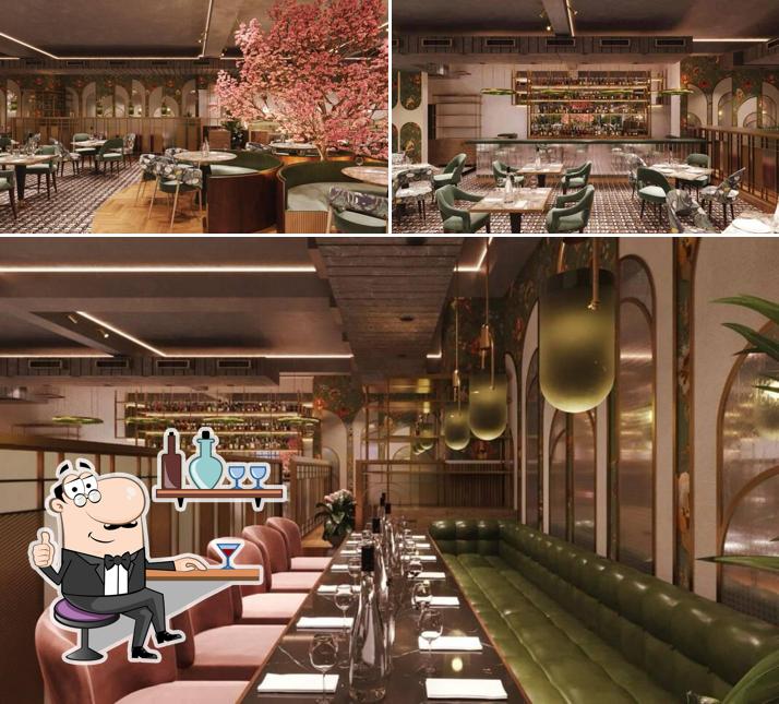 Check out how Sandoz Restaurant & Bar - Golf Course Road, Gurugram looks inside