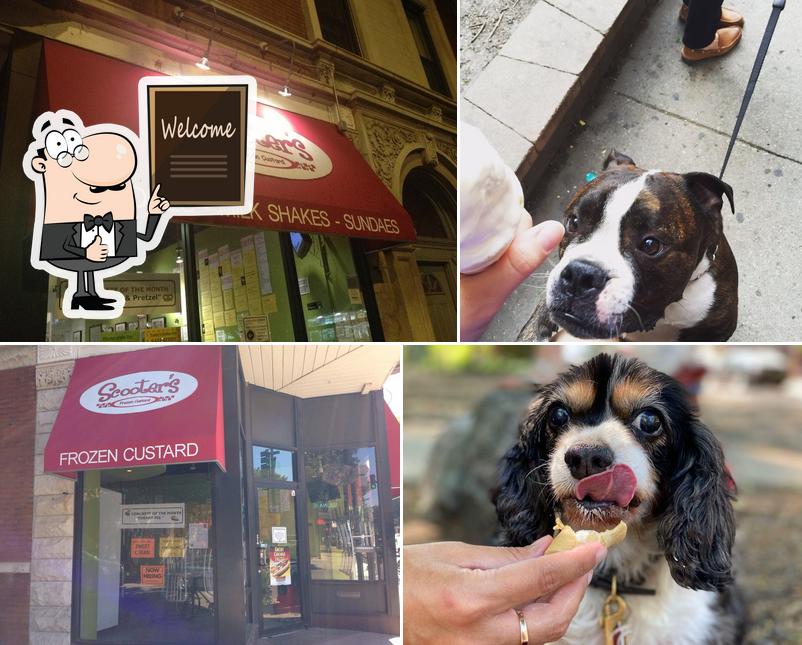 Scooter's Frozen Custard in Chicago Restaurant menu and reviews
