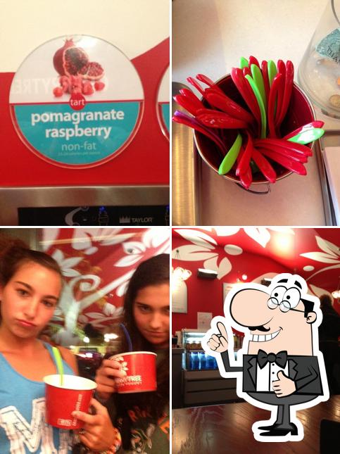 Cherry Tree Frozen Yogurt in Mamaroneck Restaurant reviews