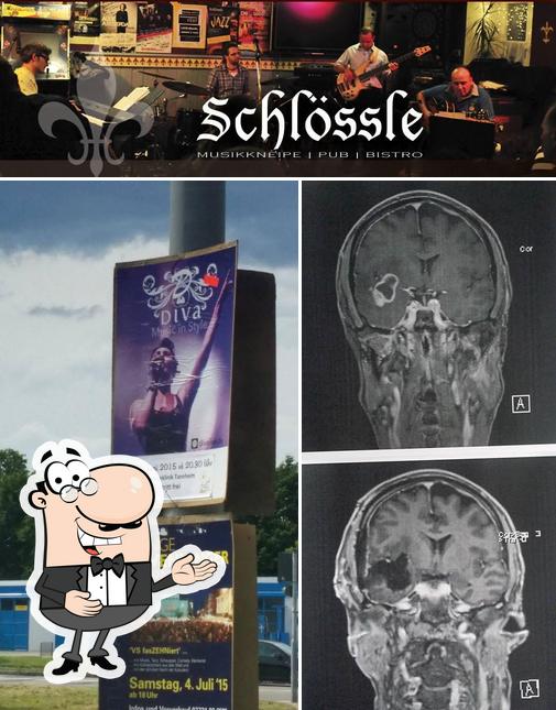 Look at the picture of Schlössle