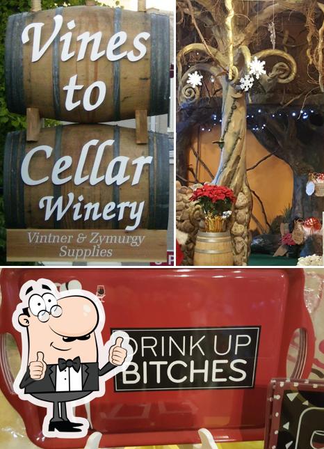 Vines To Cellar in Port Washington Restaurant menu and reviews