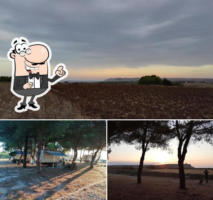 Gli esterni di Tenuta L'Alba di Monte Matino