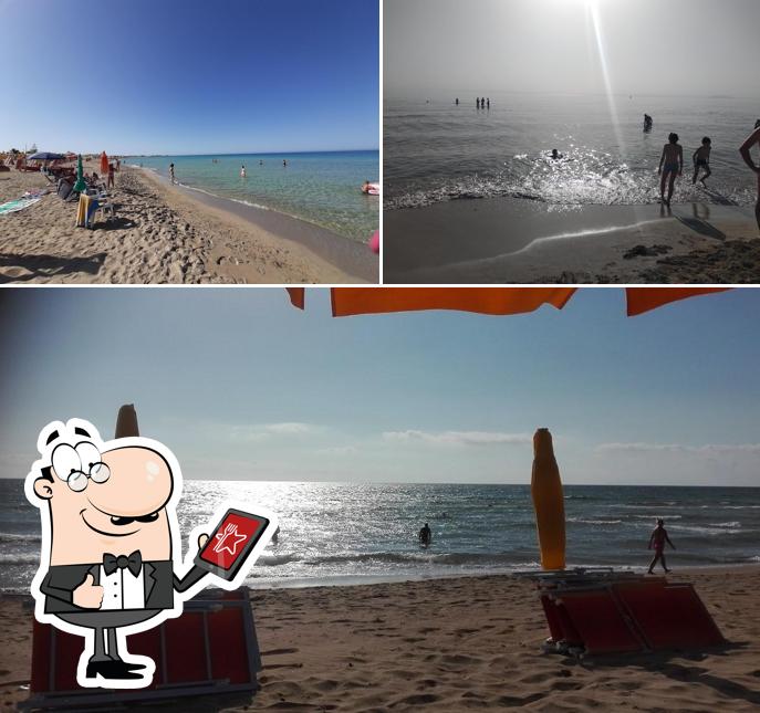 Guarda gli esterni di Lido Zelig