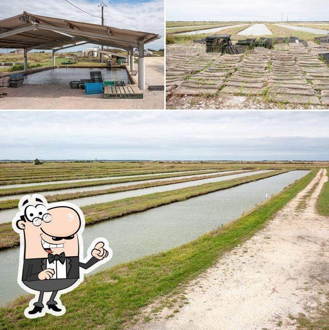 Aux coquillages des iles Marennes