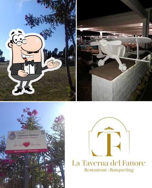 Regarder cette image de La Taverna del Fattore