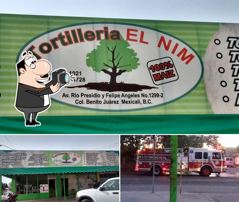 Tortilleria EL NIM, Mexicali Restaurant reviews