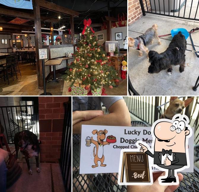 Lucky Dog Grille in Mason Restaurant menu and reviews